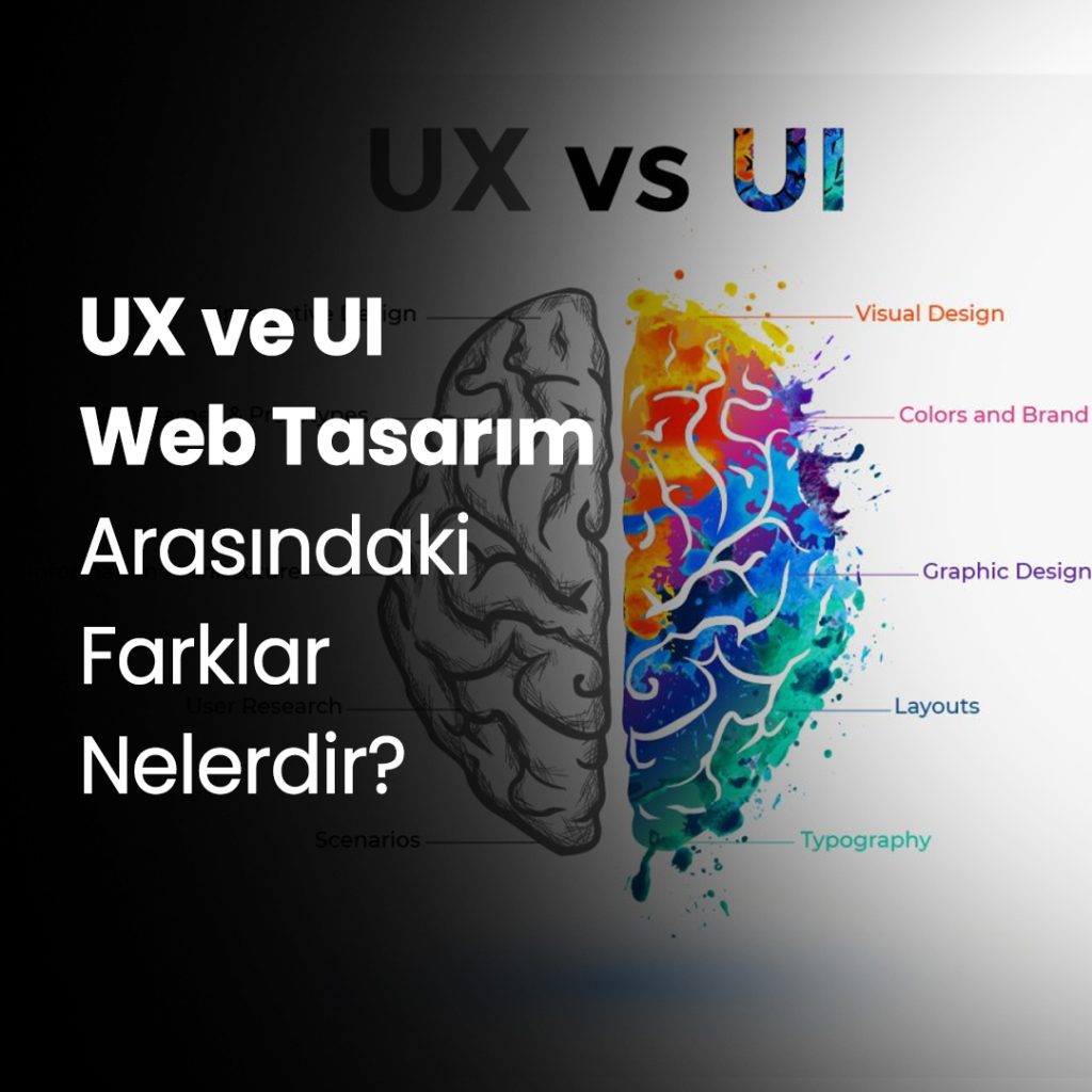 web/tasarım""